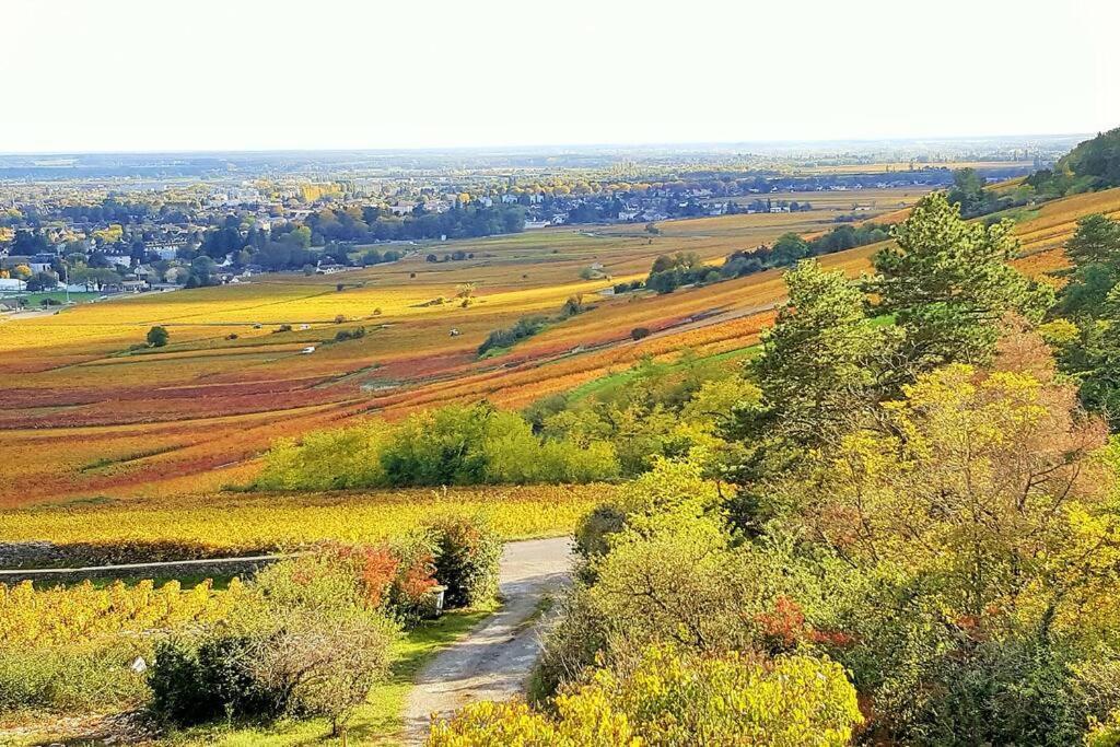 La Maison De L'Ecu : Charme Et Vue Incroyable Бон Екстериор снимка